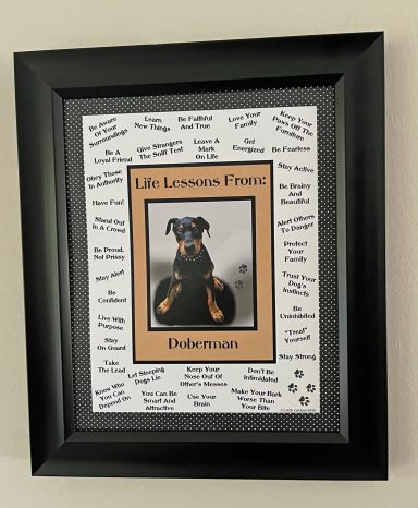 Doberman – Life Lessons From Dogs
8'x10" Digital Download
