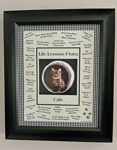Life Lessons From Cats
8'x10" Digital Download