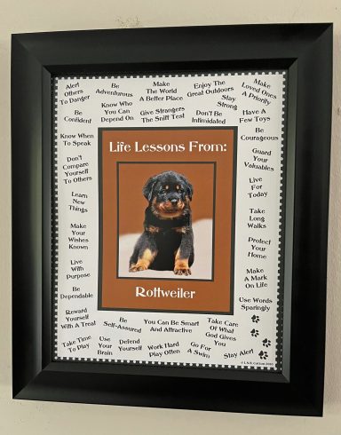 Rottweiler – Life Lessons From Dogs
8'x10" Digital Download
