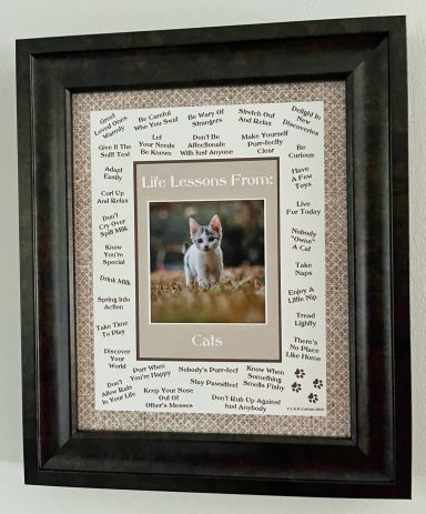 Life Lessons From Cats
8'x10" Digital Download