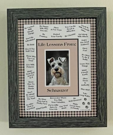 Schnauzer – Life Lessons From Dogs
8'x10" Digital Download
