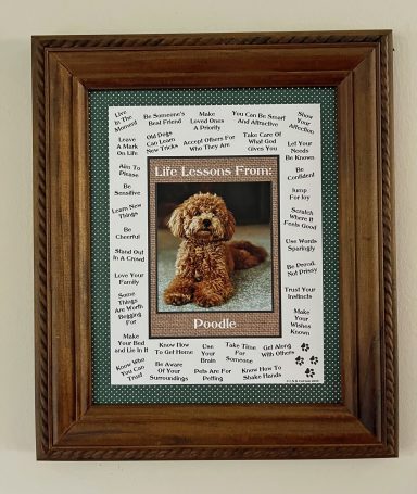 Poodle – Life Lessons From Dogs
8'x10" Digital Download
