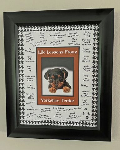 Yorkshire Terrier – Life Lessons From Dogs
8'x10" Digital Download
