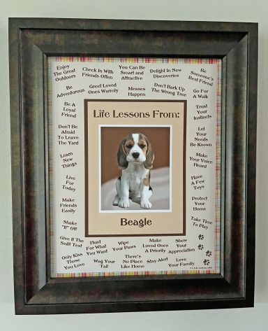 Beagle – Life Lessons From Dogs
8'x10" Digital Download
