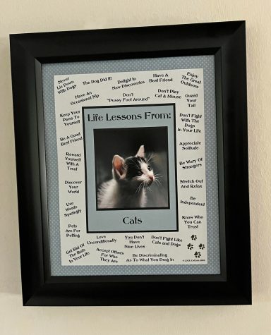 Life Lessons From Cats
8'x10" Digital Download
