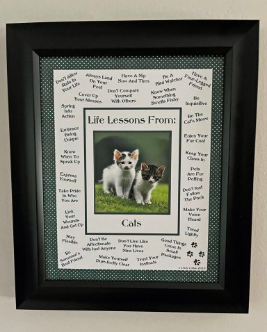 Life Lessons From Cats
8'x10" Digital Download