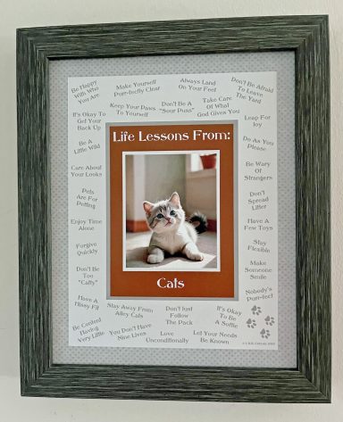 Life Lessons From Cats
8'x10" Digital Download