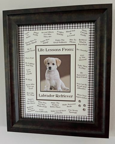 Labrador Retriever - Life Lessons From Dogs
8'x10" Digital Download