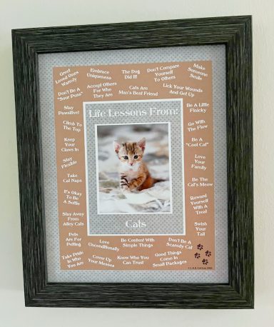 Life Lessons From Cats
8'x10" Digital Download